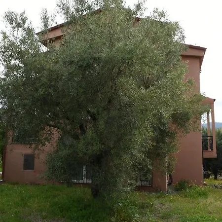 Tripotamos Chalkidiki *