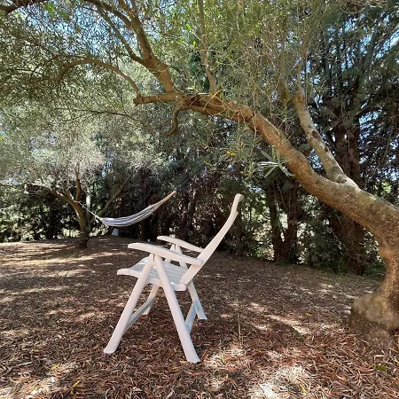 Tripotamos Chalkidiki Case de vacanță Neos Marmaras